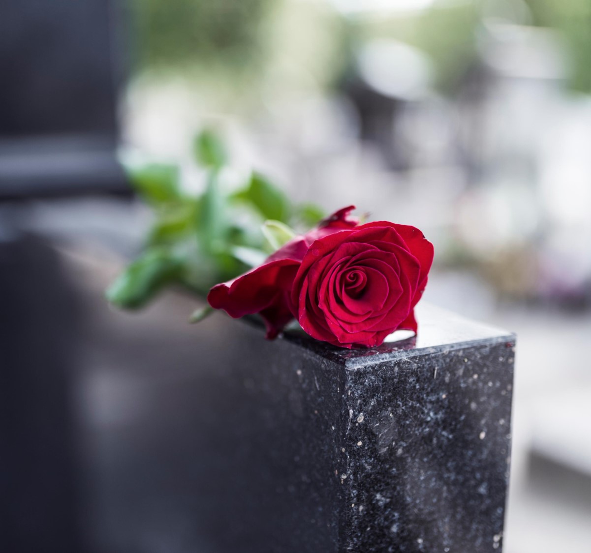 rose_coffin