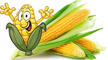 corn