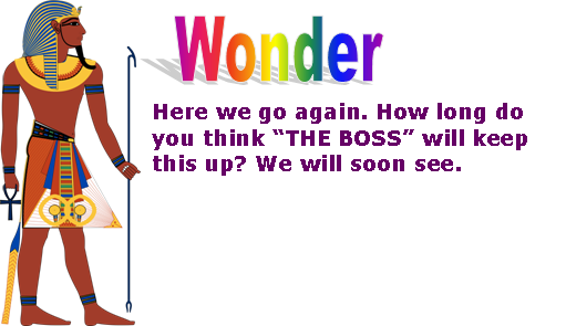 wonder